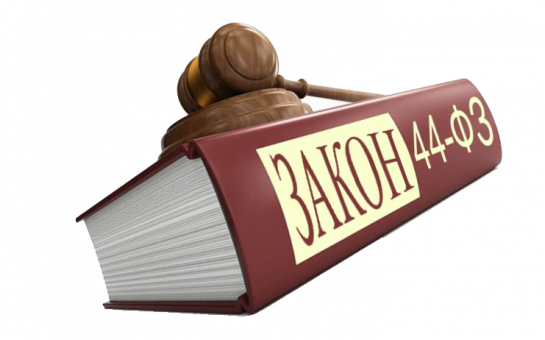Особенности закупок по 44-ФЗ: что важно знать каждому участнику